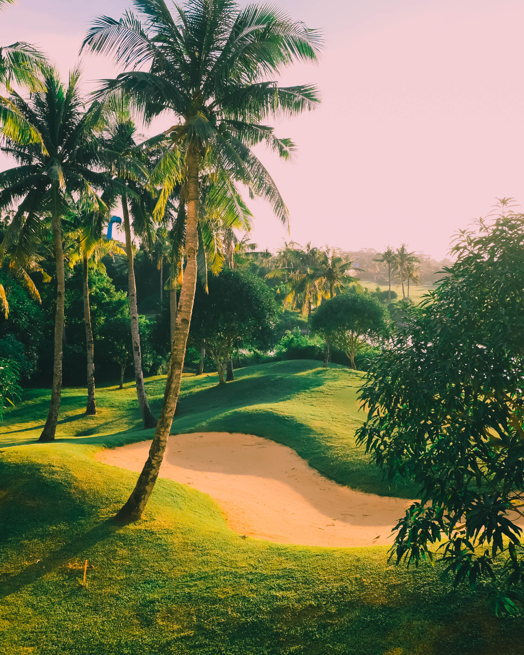 On-the-Go Travel Program (Hotel Room Friendly)